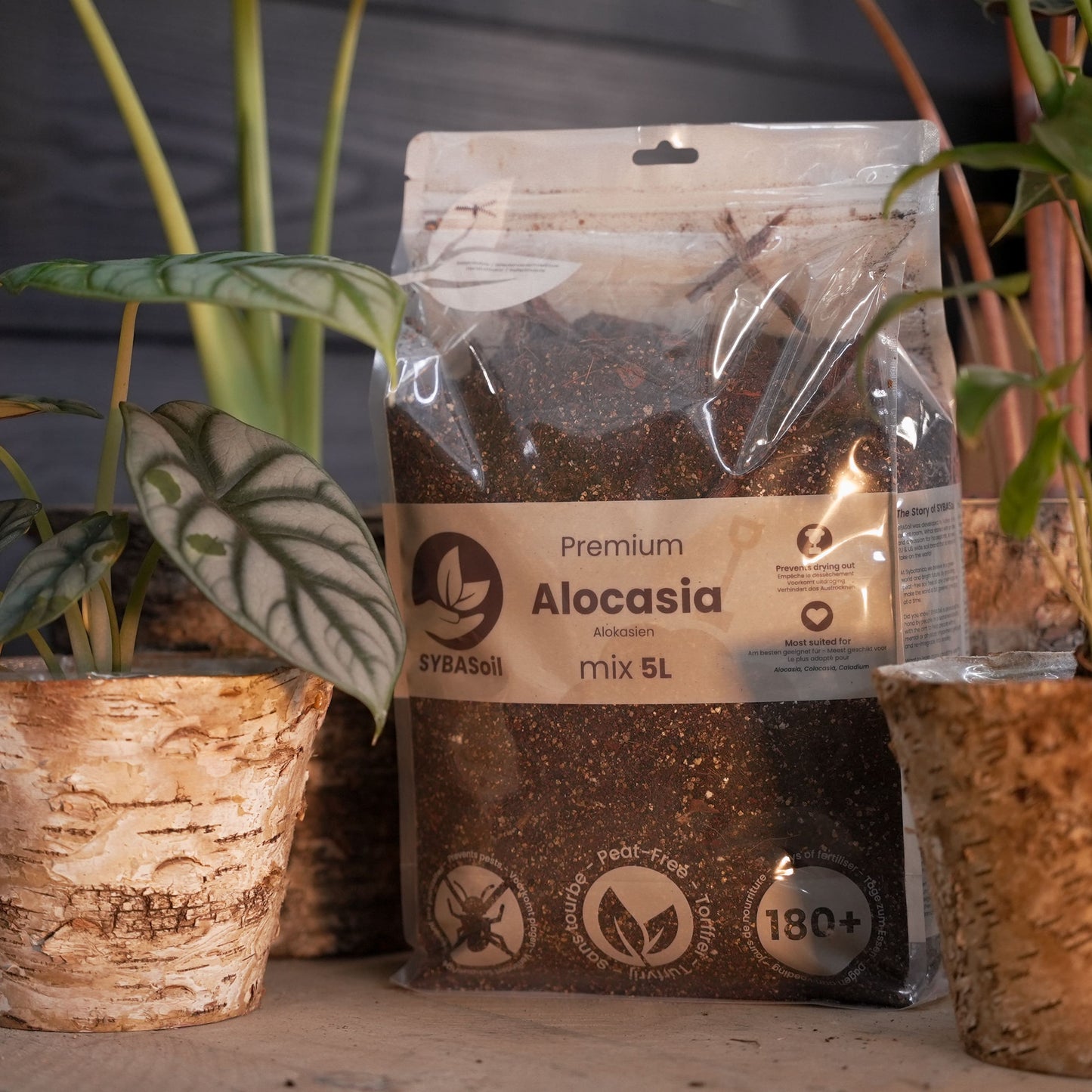 Super DIY Tropisk Jungle Mix bundle