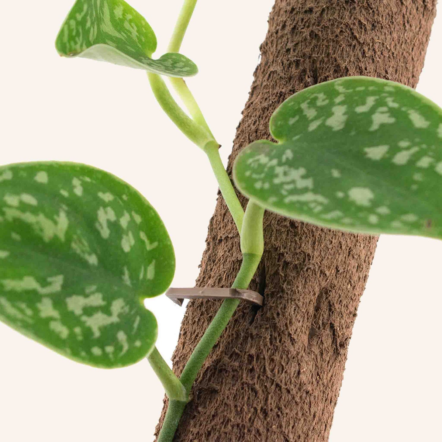 Biobaseret klatrestang (5x, inklusive 15x clips & connector)