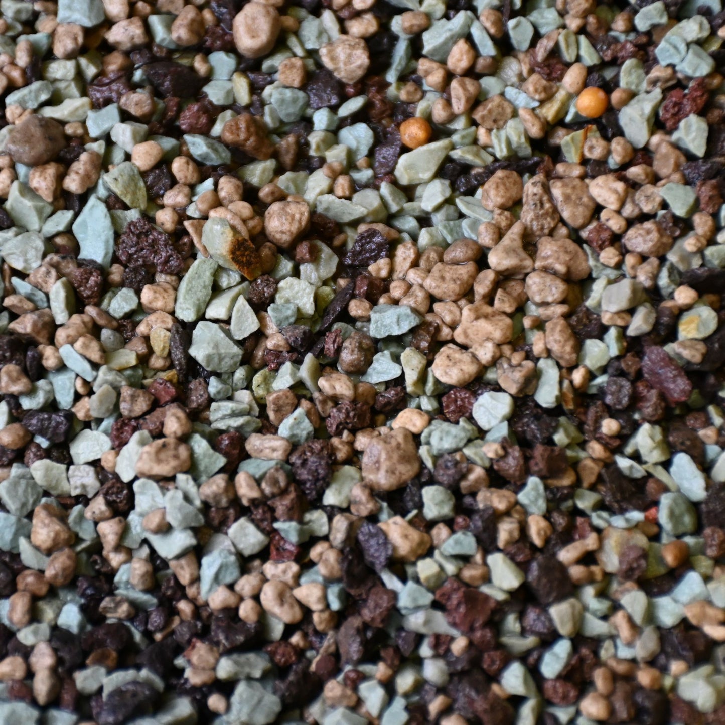 Minerale Cactussen & Vetplanten Mix