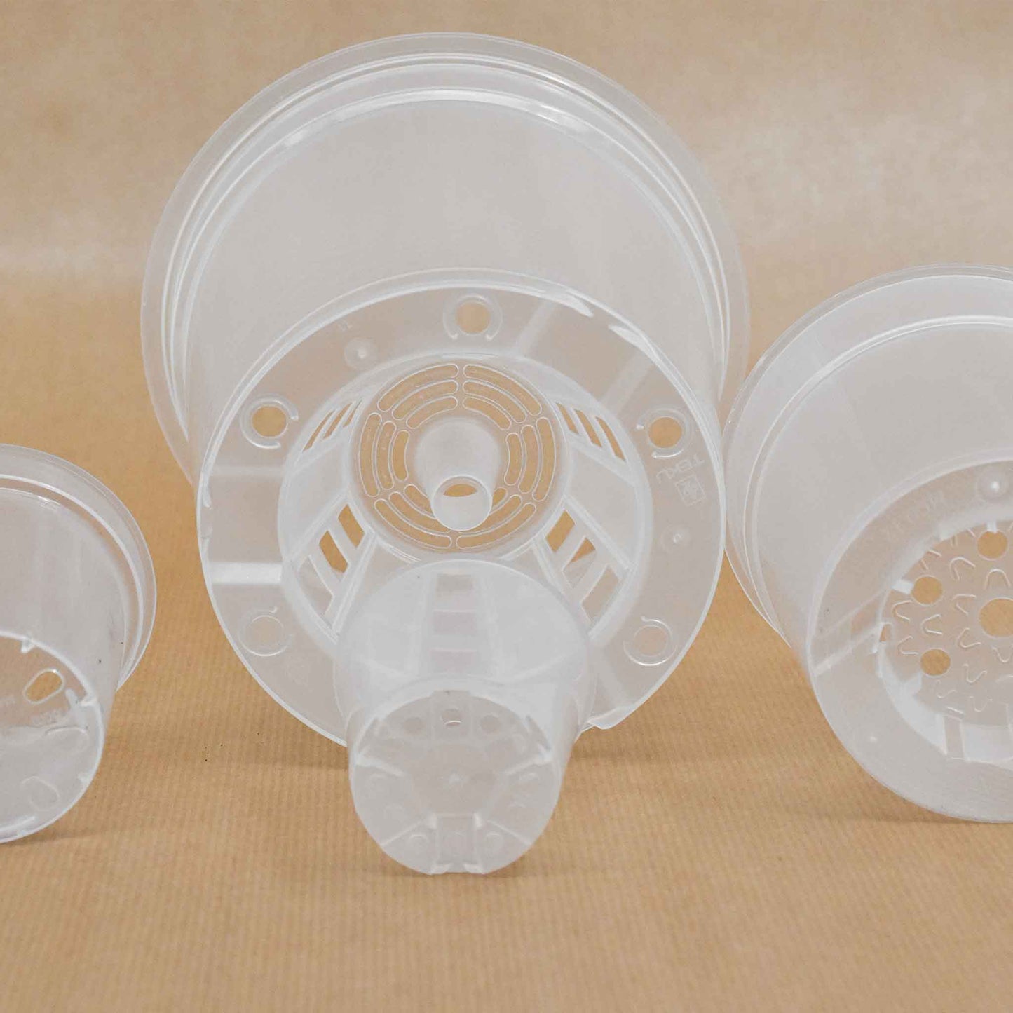 Pot transparent orchidée