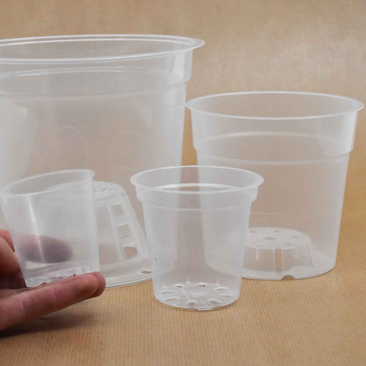 Pot transparent orchidée