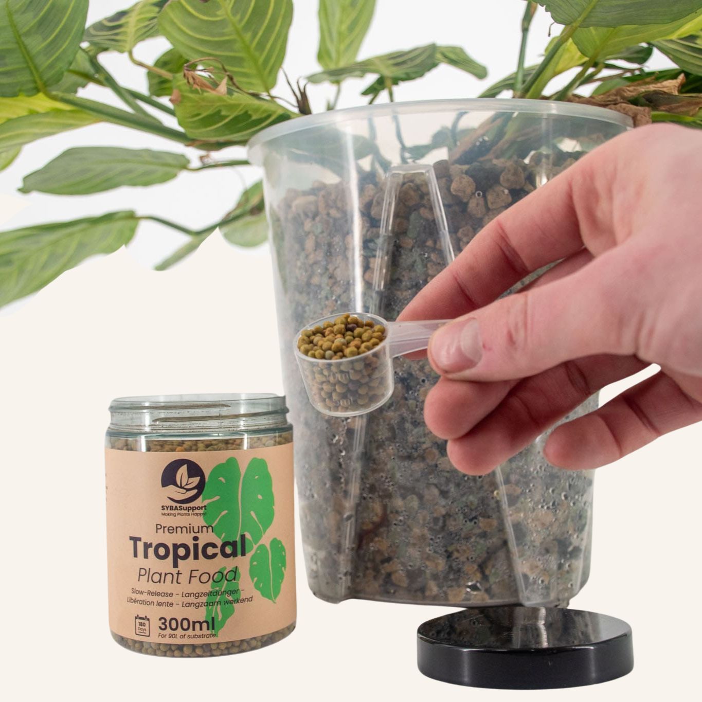 Tropische plantenvoeding langzaam werkend