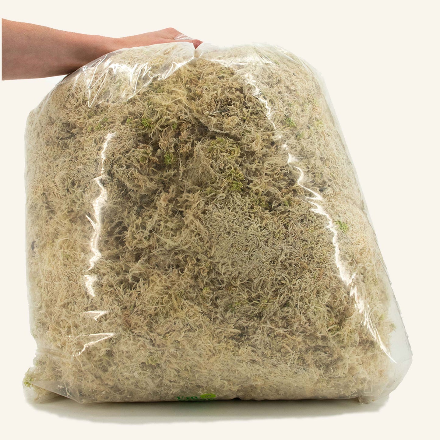 Sphaxx (Indendørs dyrket sphagnum)