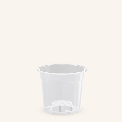 Pot transparent orchidée