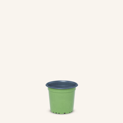 Groene kweekpotjes