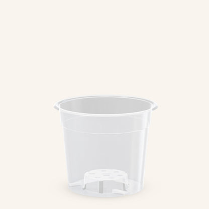 Pot transparent orchidée