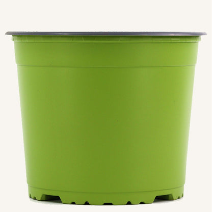 Pot de pépinière vert