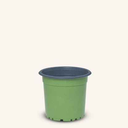 Groene kweekpotjes