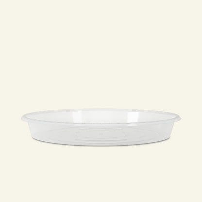Soucoupe Transparent
