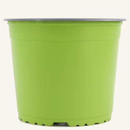 Pot de pépinière vert