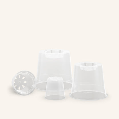 Pot transparent orchidée