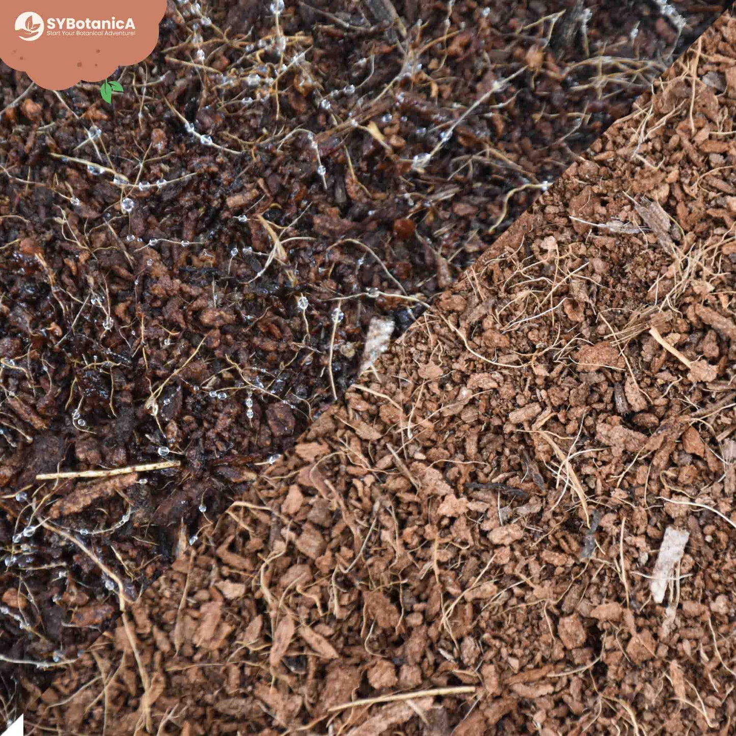 Fibre de coco
