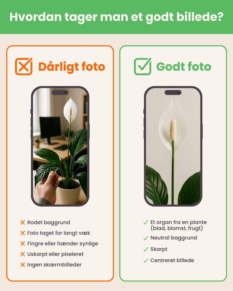 How to take a good picture?