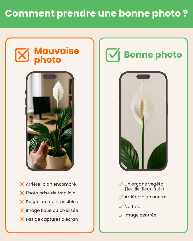 How to take a good picture?