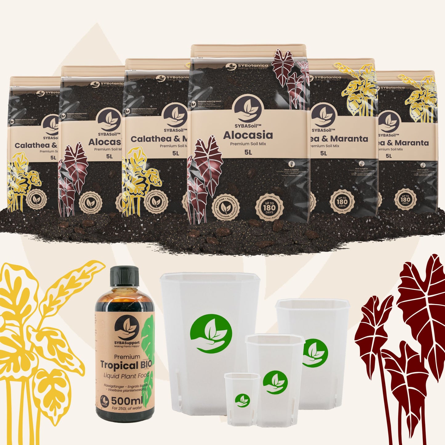 Tropische Planten Welkomstbundel