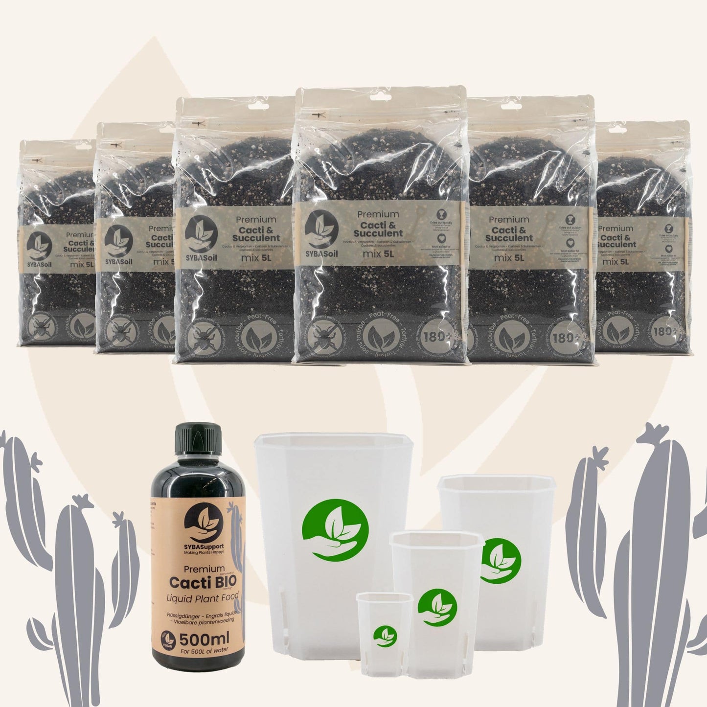 Pack de démarrage spécial cactées et succulentes