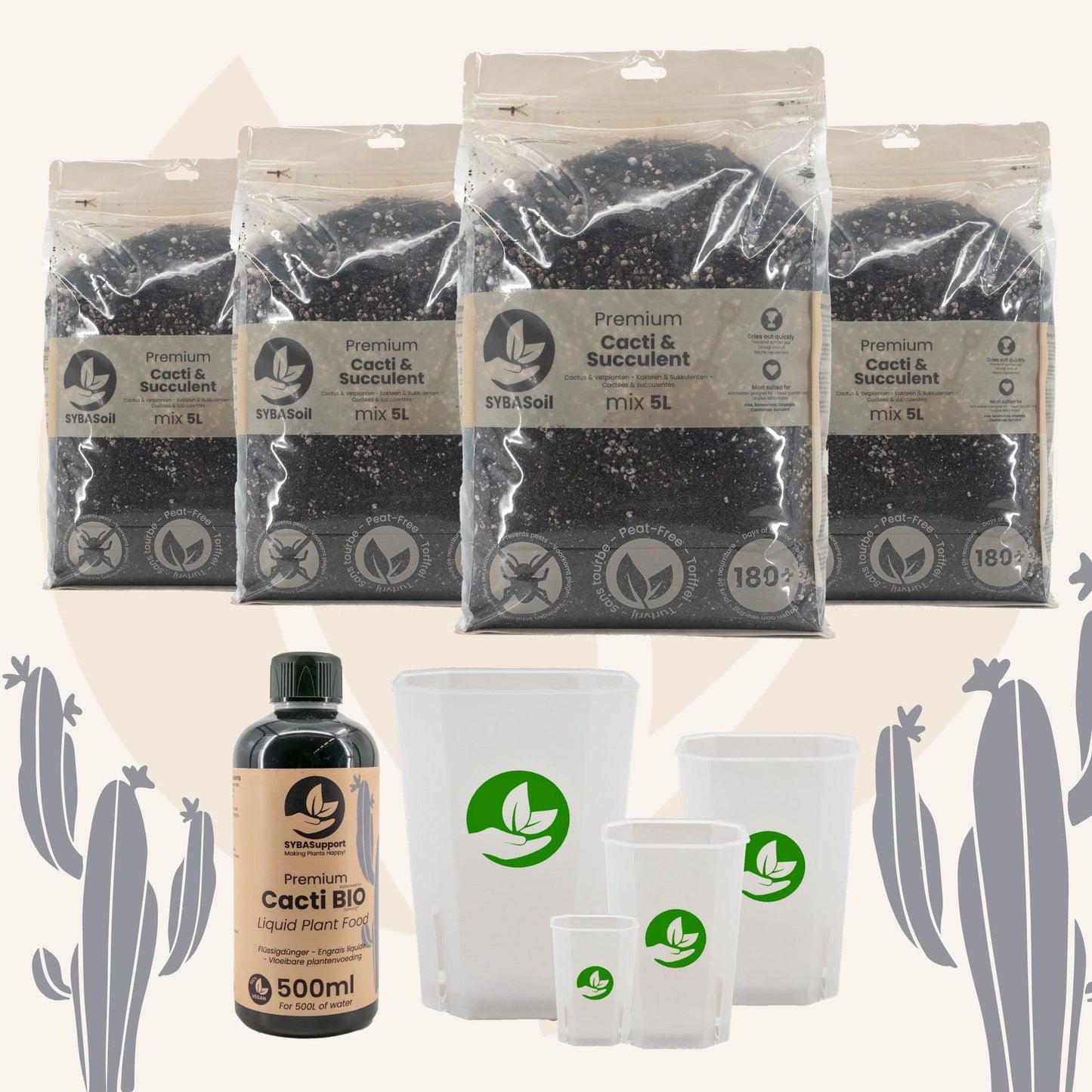 Pack de démarrage spécial cactées et succulentes