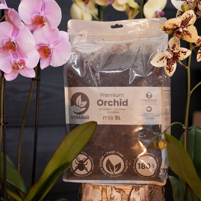 Pack de démarrage spécial orchidées