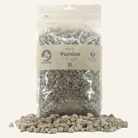 Puimsteen 3L 8-16mm