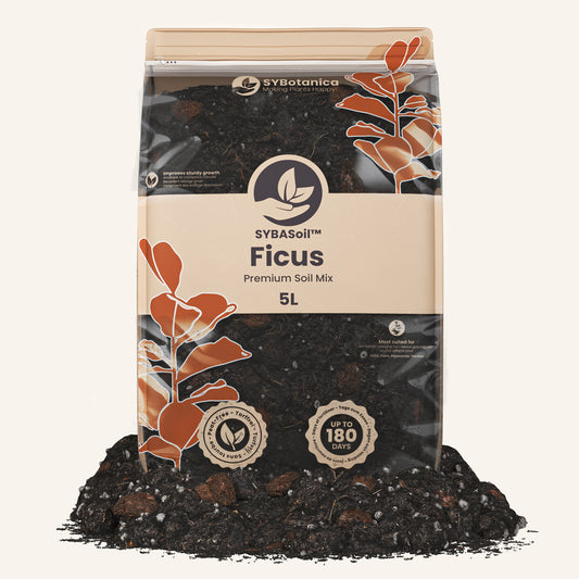 Ficus mix 5L