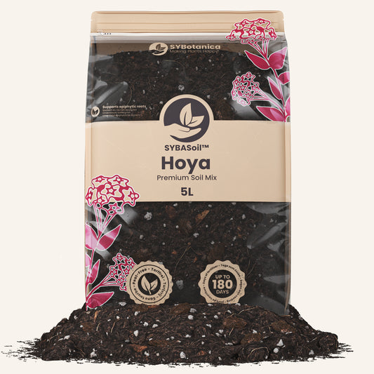 Terreau hoya