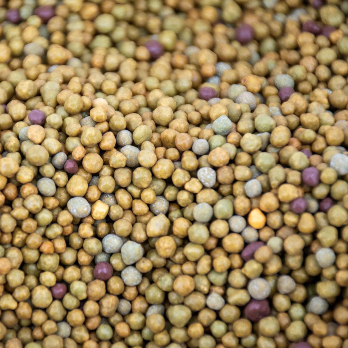 Engrais à libération lente pour plantes tropicales