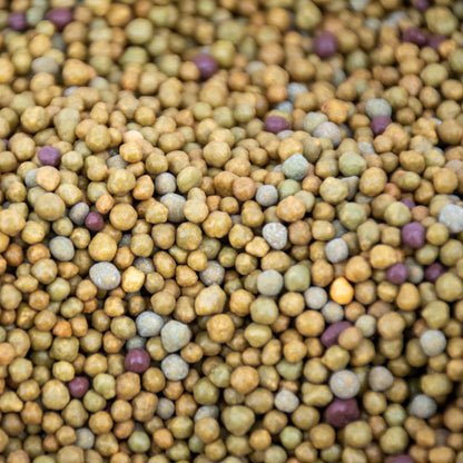 Engrais à libération lente pour plantes tropicales
