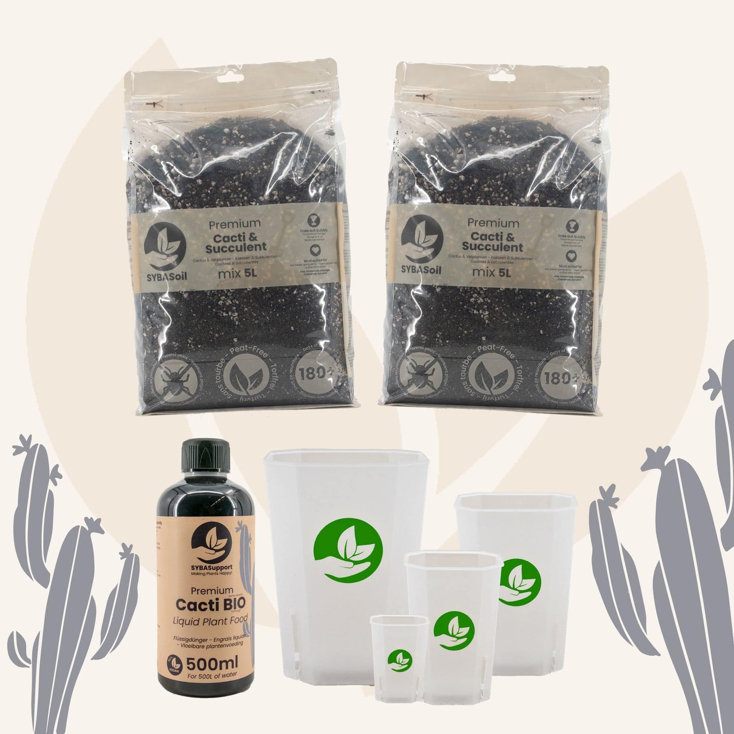 Pack de démarrage spécial cactées et succulentes