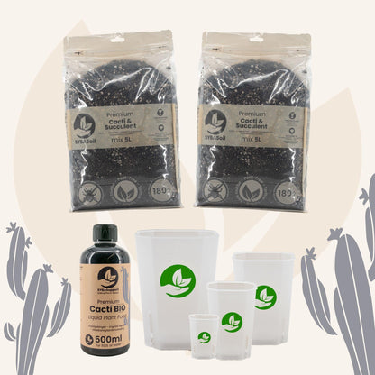 Pack de démarrage spécial cactées et succulentes