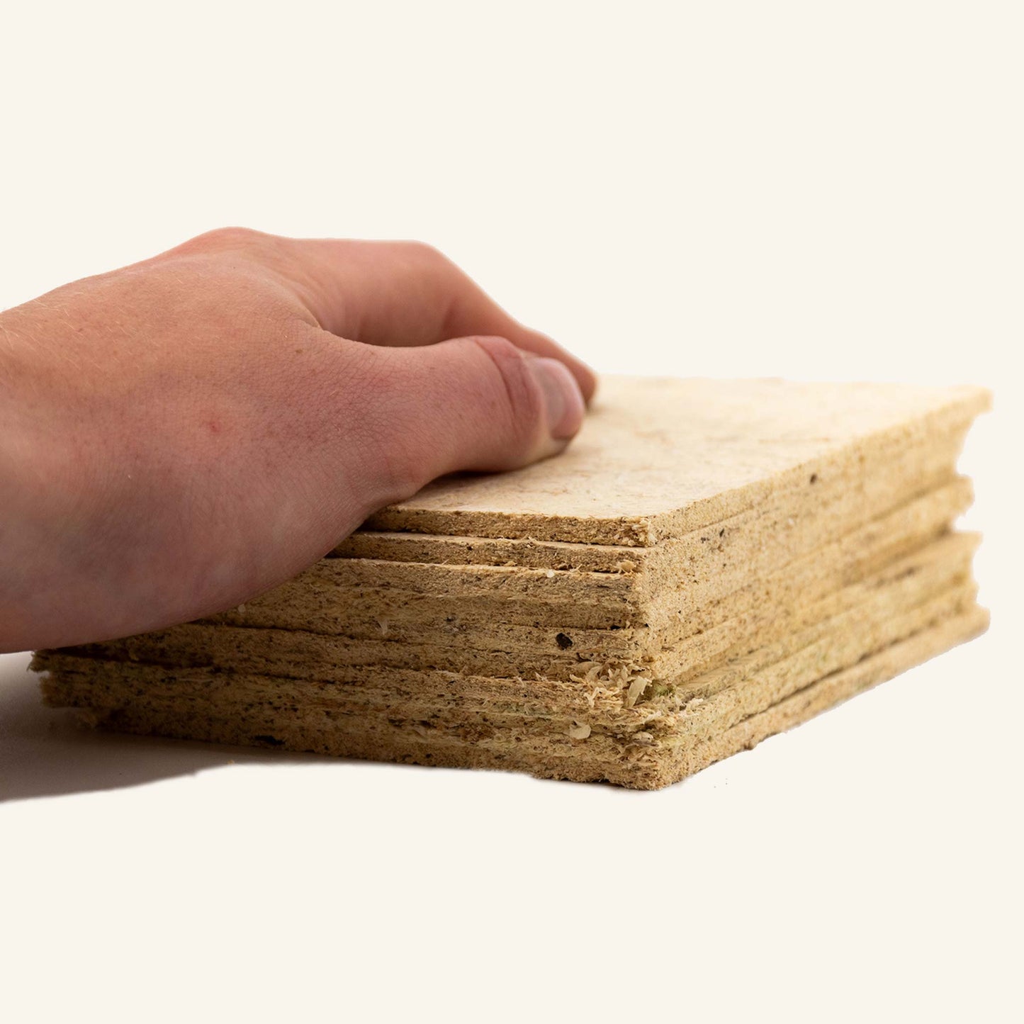 Sphaxx (Sphaigne cultivée en intérieur)