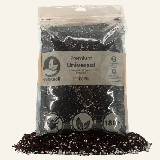 Universel Mix