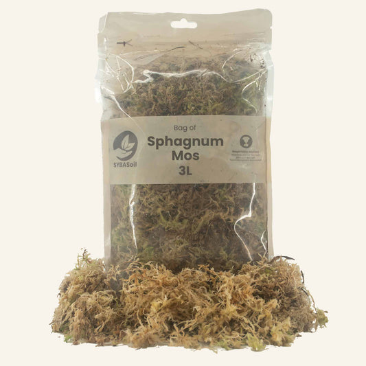 sphagnum moss 3l sybasoil